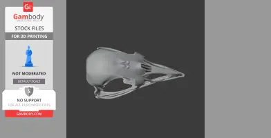 Bellbird Skull