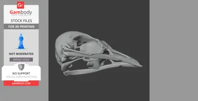 Bellbird Skull