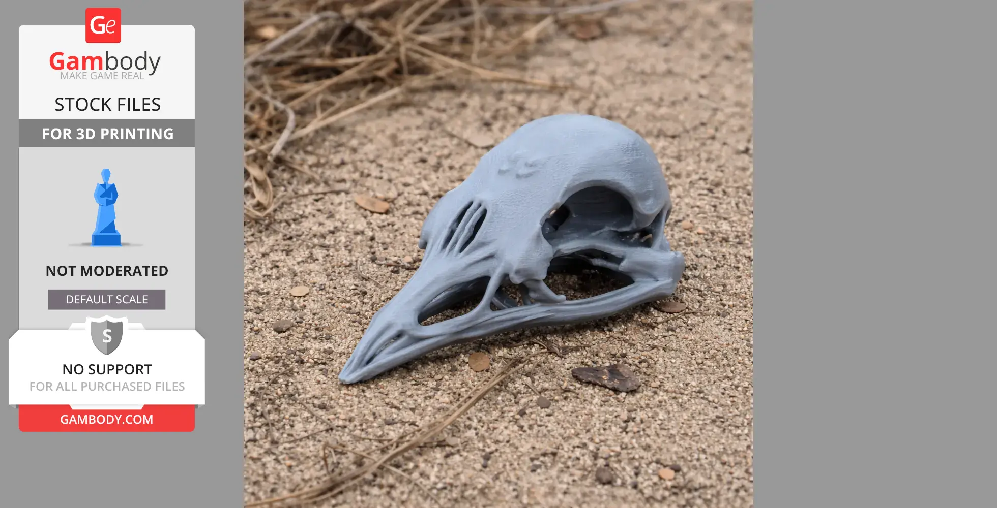 3D-printed model of a bird skull with intricate details, placed on sandy ground.