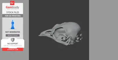 Bellbird Skull