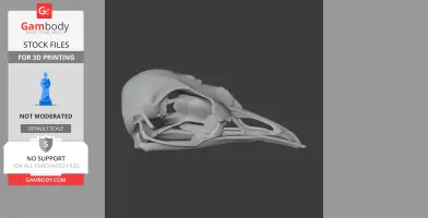 Bellbird Skull