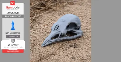 Bellbird Skull