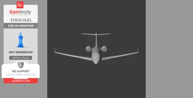 Embraer Legacy Plane