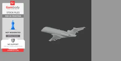 Embraer Legacy Plane