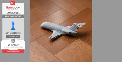 Embraer Legacy Plane