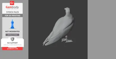 Gull