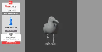 Gull