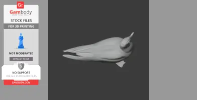 Gull