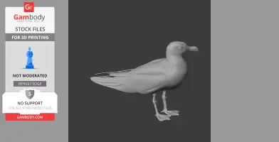Gull