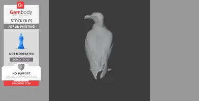 Gull