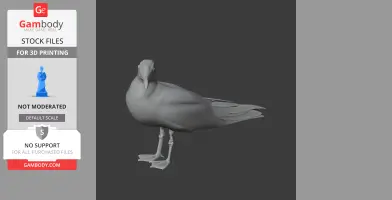 Gull