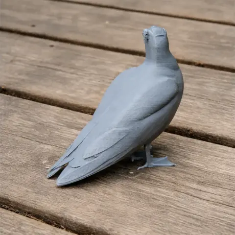 Gull