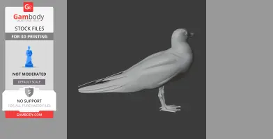 Gull