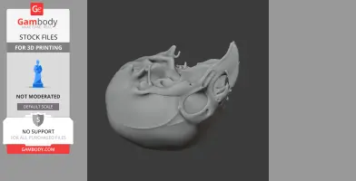 Birkenia Skull
