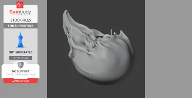 Birkenia Skull