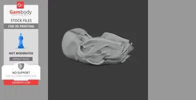 Black Bear Skull