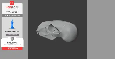 Black Bear Skull