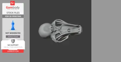 Black Bear Skull