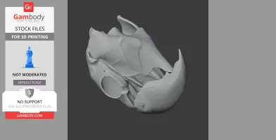 Black Palm Cockatoo Skull
