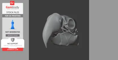 Black Palm Cockatoo Skull