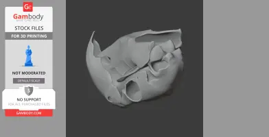 Black Palm Cockatoo Skull