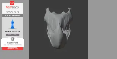 Black Palm Cockatoo Skull