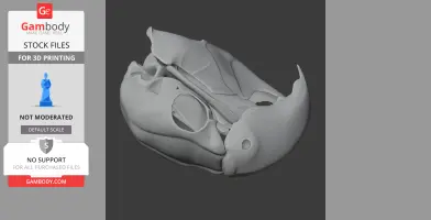 Black Palm Cockatoo Skull