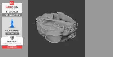 Black-footed Cat Skull