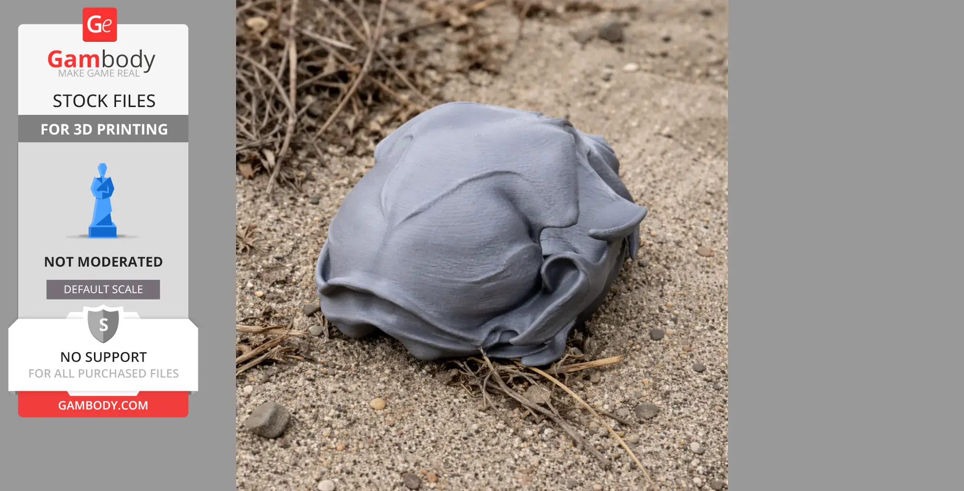 A 3D printed black-footed cat skull model on sandy ground.