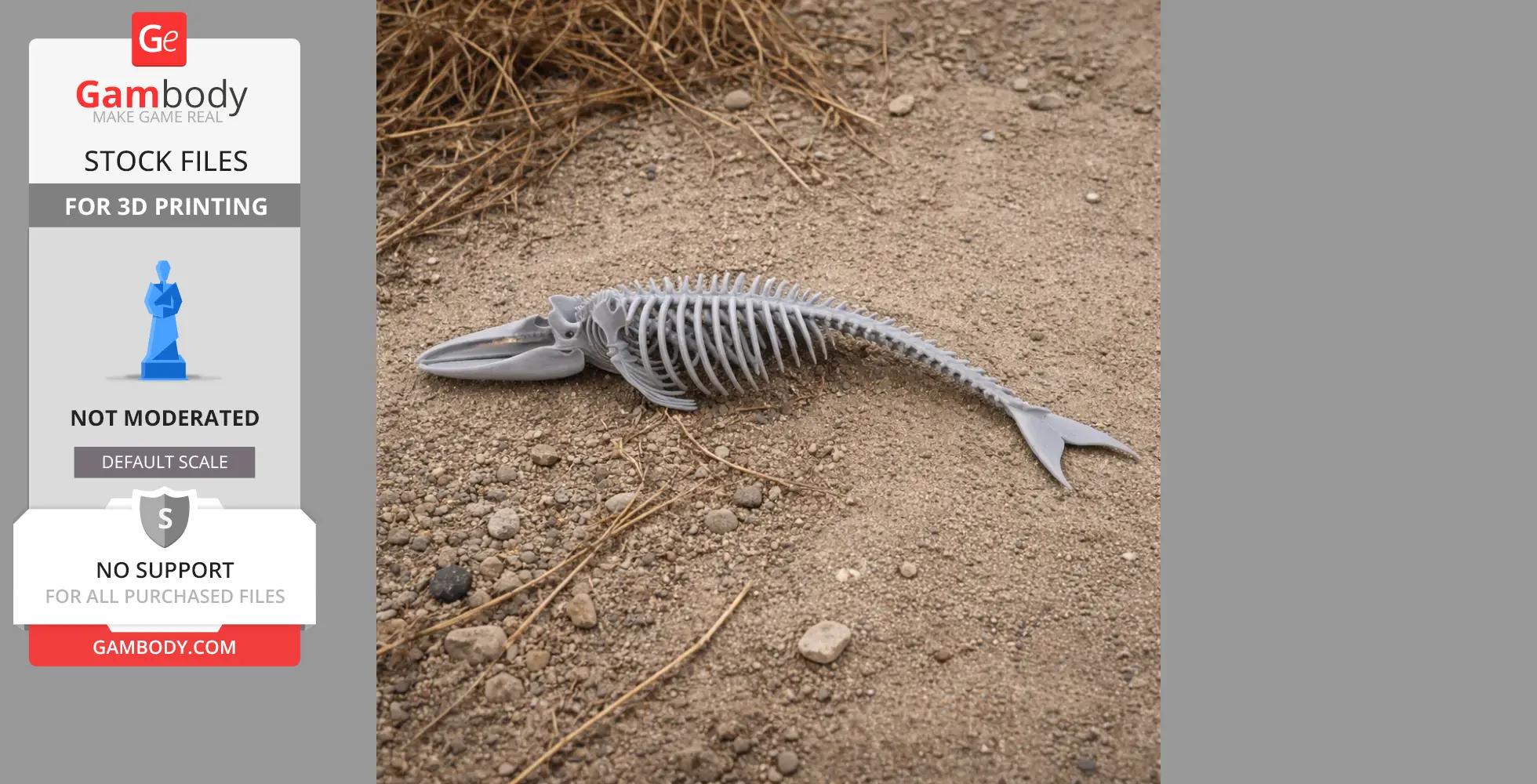 3D printed blue whale skeleton model on rocky ground.