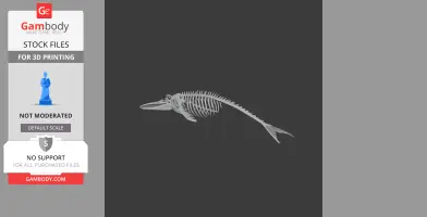 Blue Whale Skull