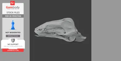 Boar Skull