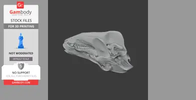 Boar Skull