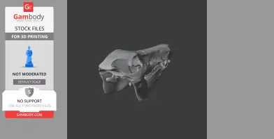 Boar Skull
