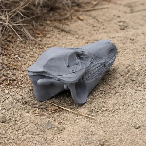 Boar Skull