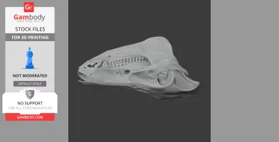 Boar Skull