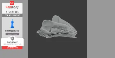 Boar Skull