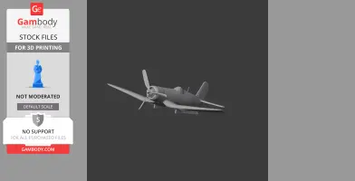 F4U Corsair Plane