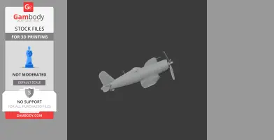 F4U Corsair Plane