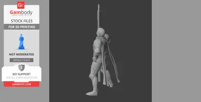 Bertrand du Guesclin Knight