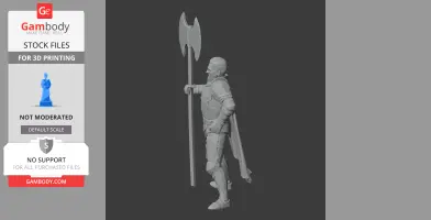 Bertrand du Guesclin Knight