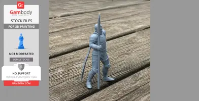 Bertrand du Guesclin Knight