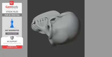 Bonobo Skull