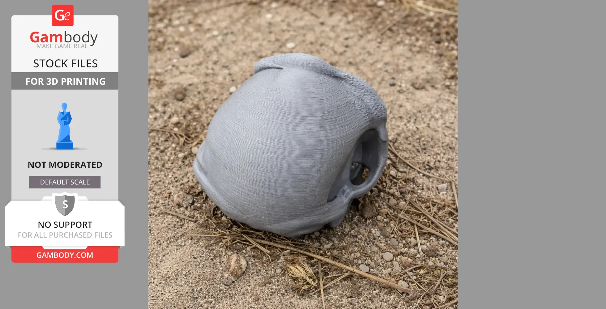 3D printed bonobo skull model on sandy ground.
