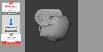 Bonobo Skull