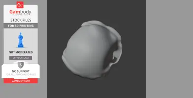 Bonobo Skull