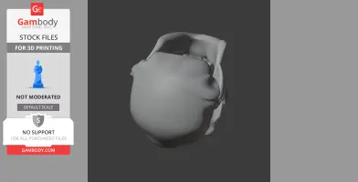 Bonobo Skull
