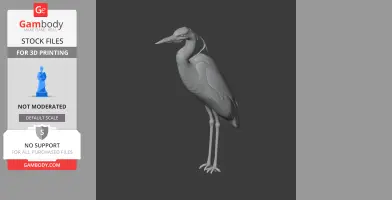 Heron