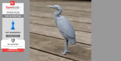 Heron