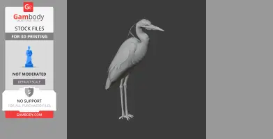 Heron